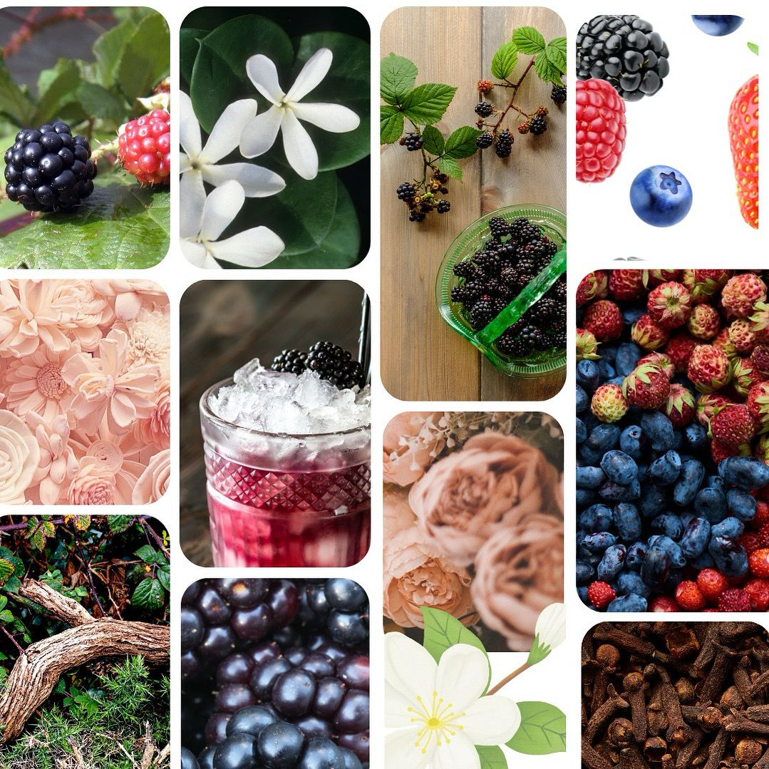 Wild Bramble & Rose mood board showcasing the essence of the fragrance. Features visuals of blackberries, pink and white roses, soft lighting, and elegant design elements to evoke the fresh, nostalgic, and luxurious scent.
