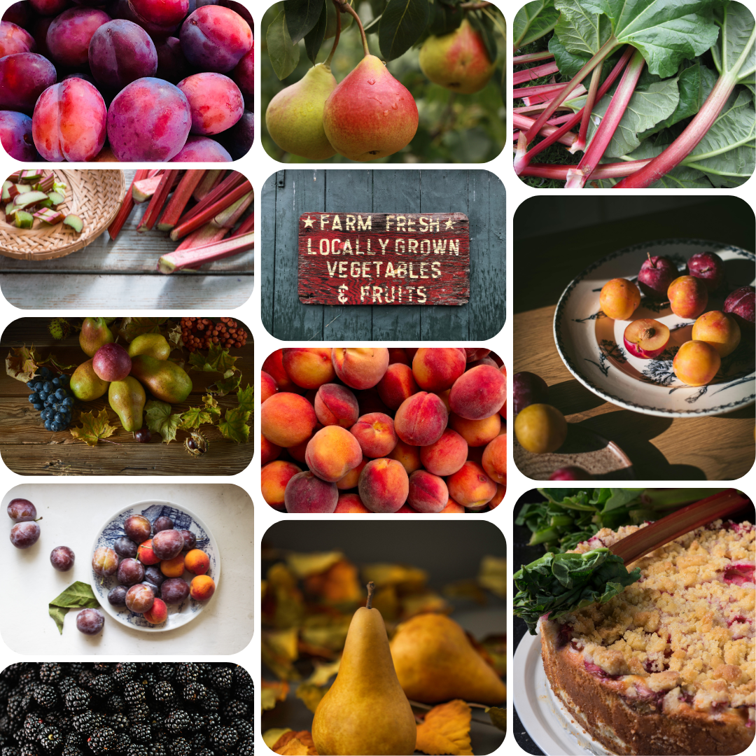 A 4x4 collage of food photography featuring fresh fruits and vegetables, including plums, peaches, rhubarb, pears, berries, and a berry cake, with one central sign reading 'Farm Fresh Locally Grown Vegetables & Fruits'.