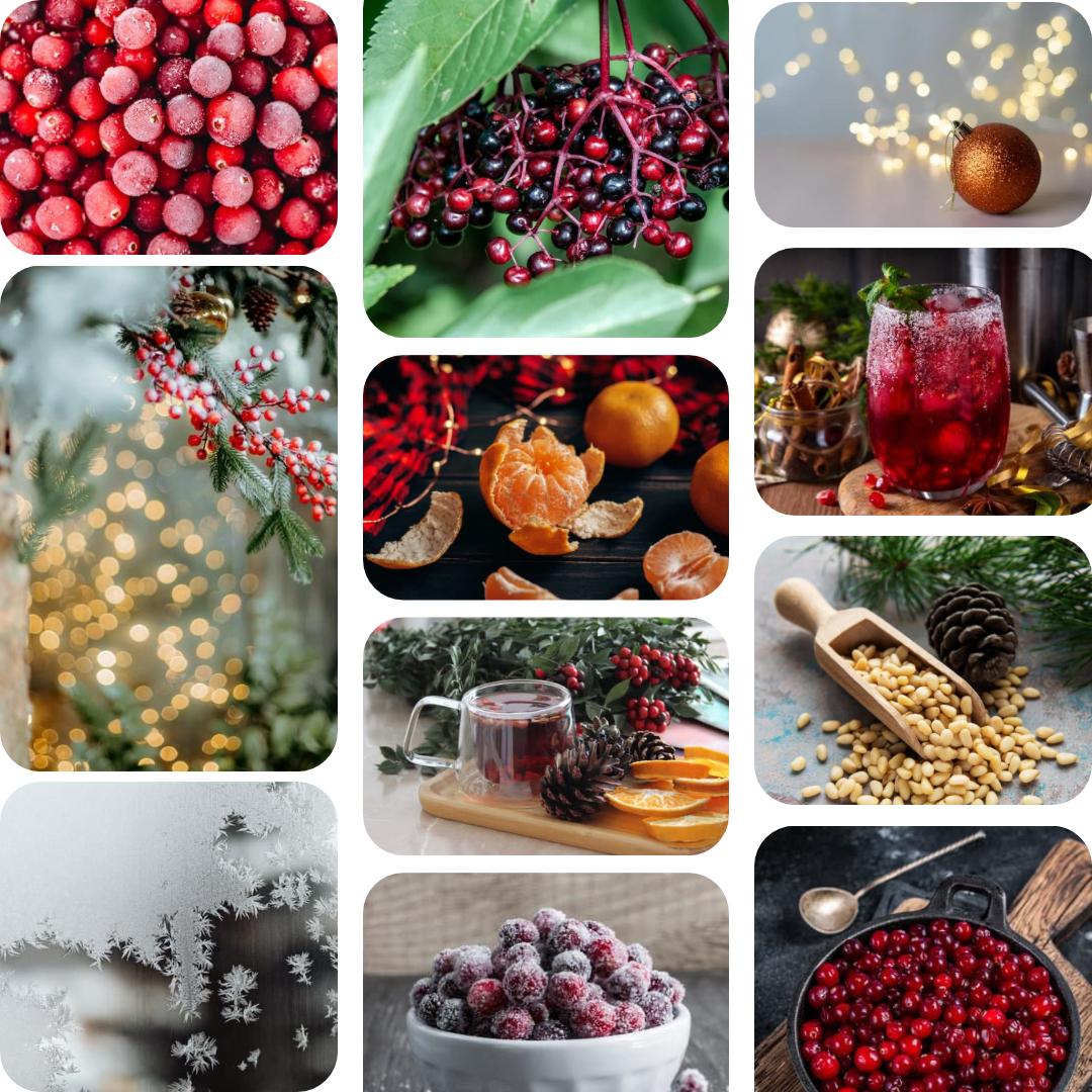 Winter Berries