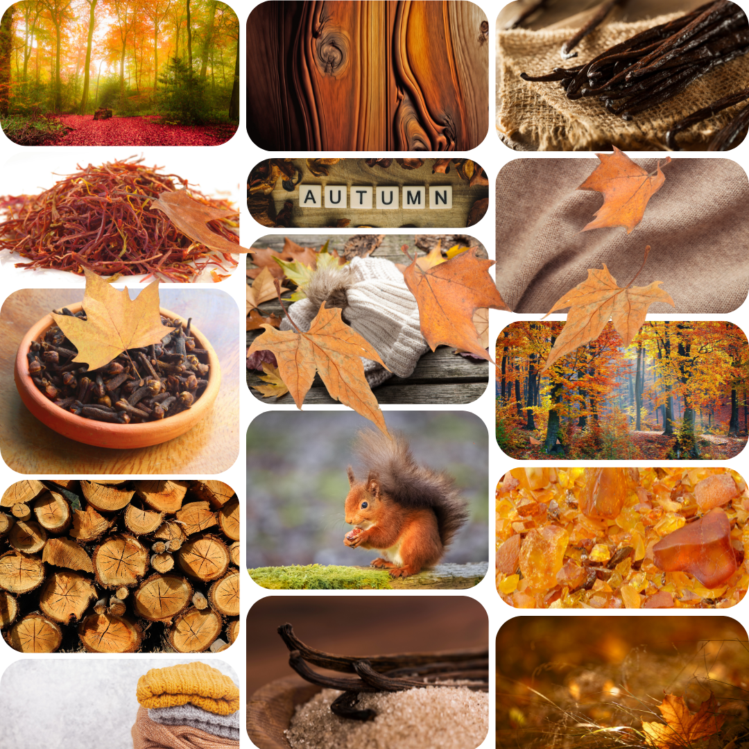 A collage of autumn-themed photos and textures, including colorful fall forests, orange leaves, wood grain, dried leaves, a squirrel, stacked logs, and warm autumn tones.